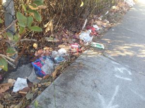 40th Street Litter